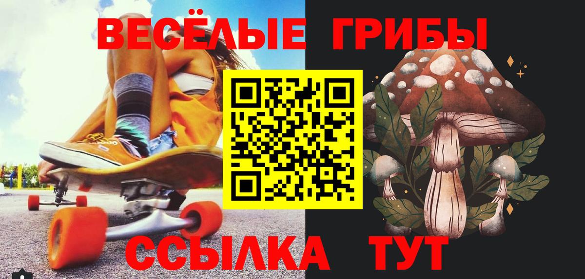 Симферополь  Псилоцибиновые грибы Psilocybe  Вход с VPN  Псилоцибиновые грибы мицелий 